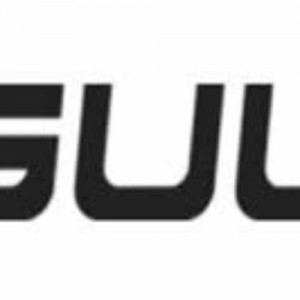 Gul Technical Services LLC