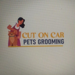 Cut on Car Pets Grooming