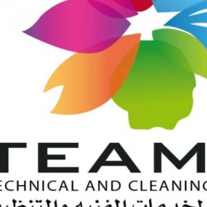 Team Max Technical and Cleaning Services