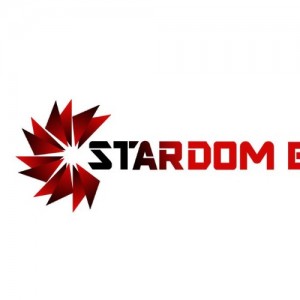 STARDOM ENGINEERING SERVICES LLC