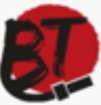 BT STEEL ENGINEERING INDUSTRY LLC