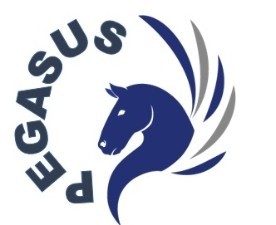 Pegasus Marine services LLC