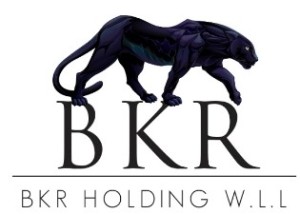 B.K.R Holding W.L.L