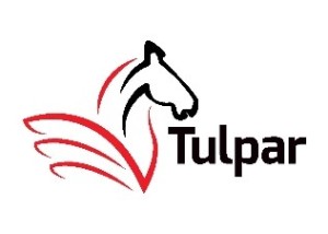 Tulpar Taxation