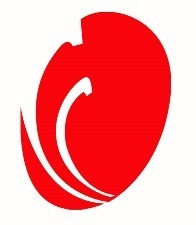 COMPUTER CARE LLC