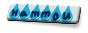 hammou company and electrcial materials shops
