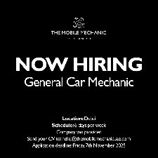 Mobile Mechanic